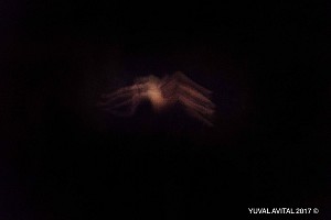 Venus of Etna (Light Beings)